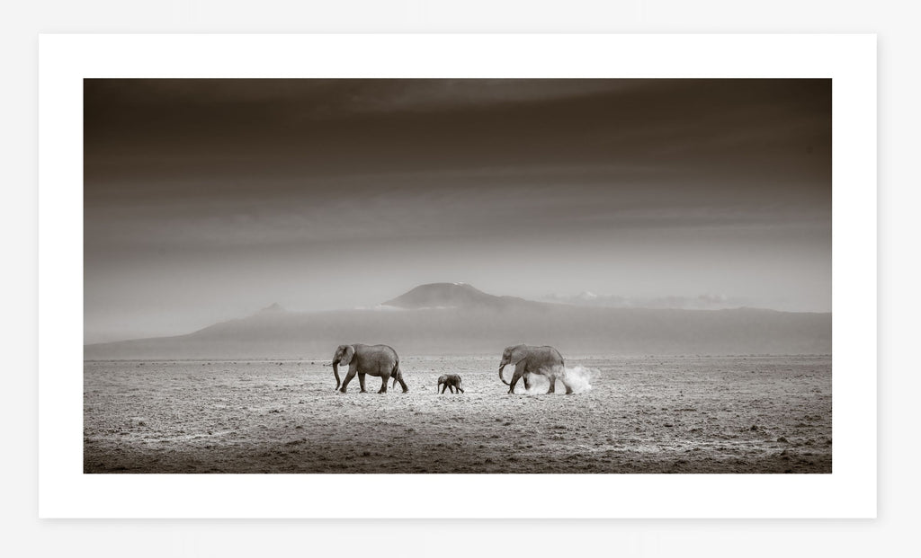Across The Lake Bed