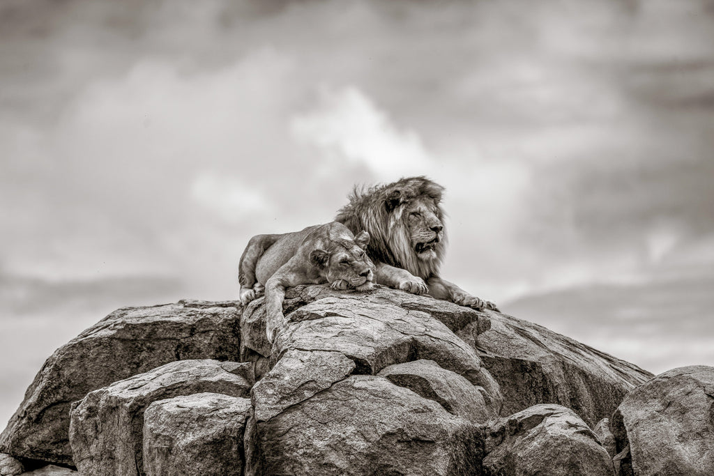 Till Kingdom Come