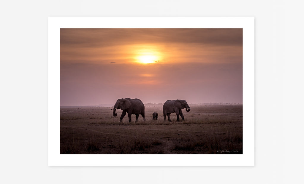 Amboseli Sunset