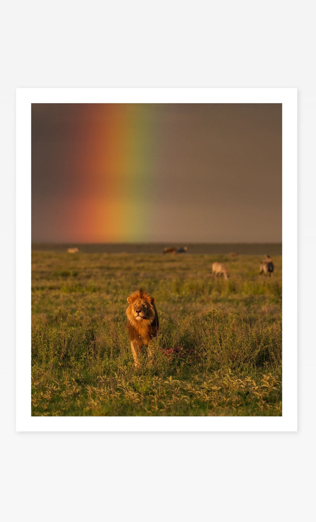 Pot of Gold