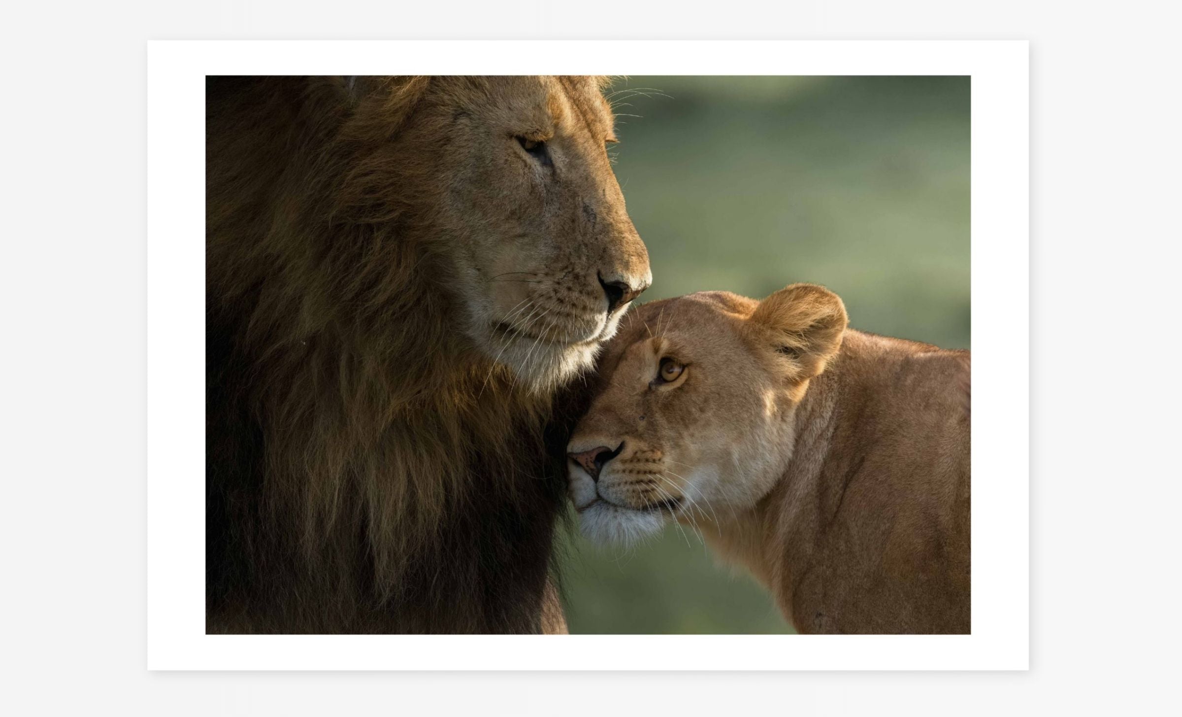 Royal Couple