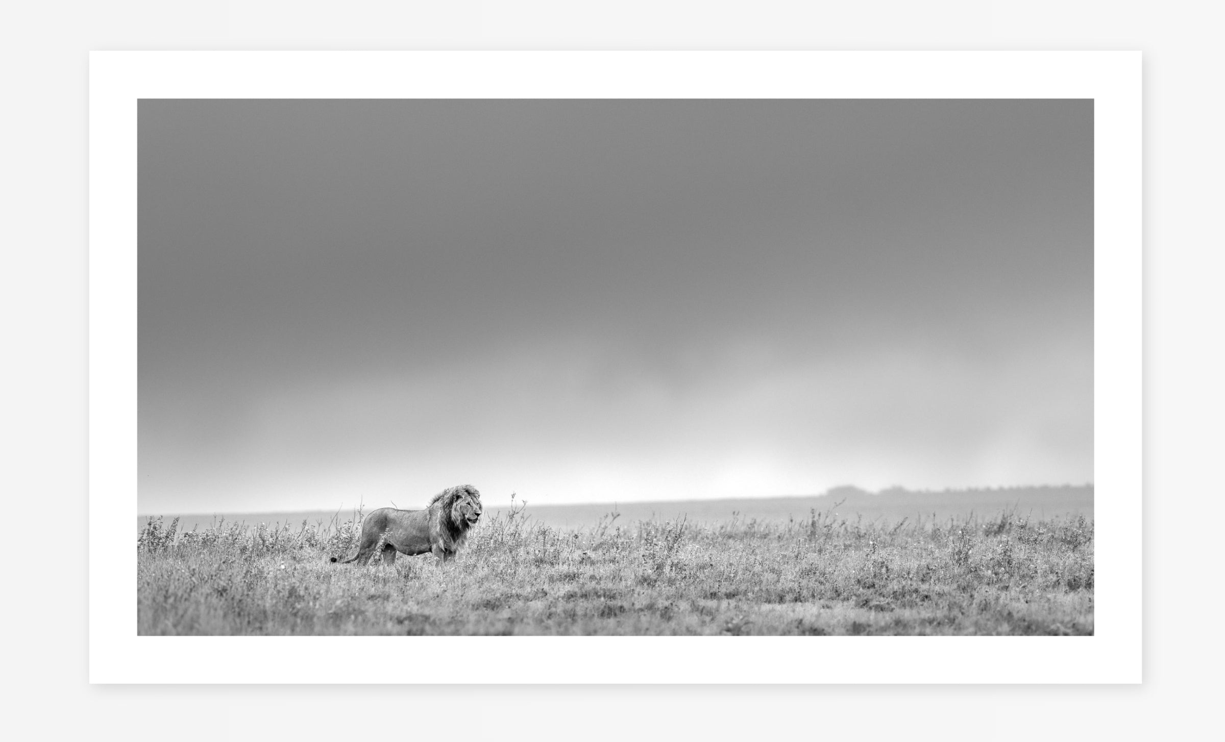On Namiri Plains