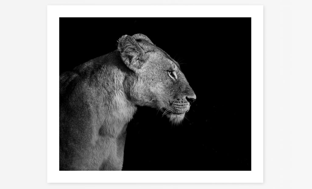 Mara Queen