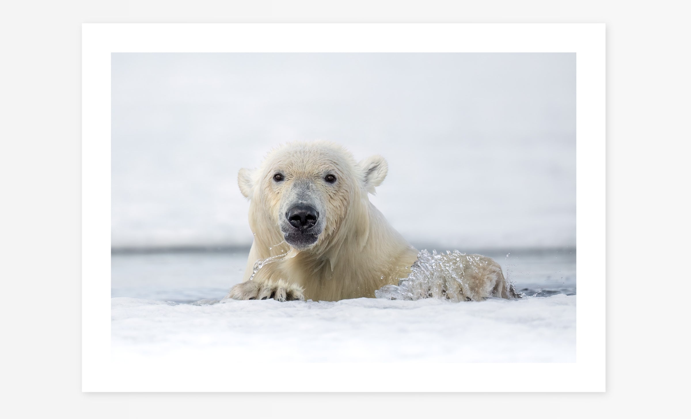 Icebreaker