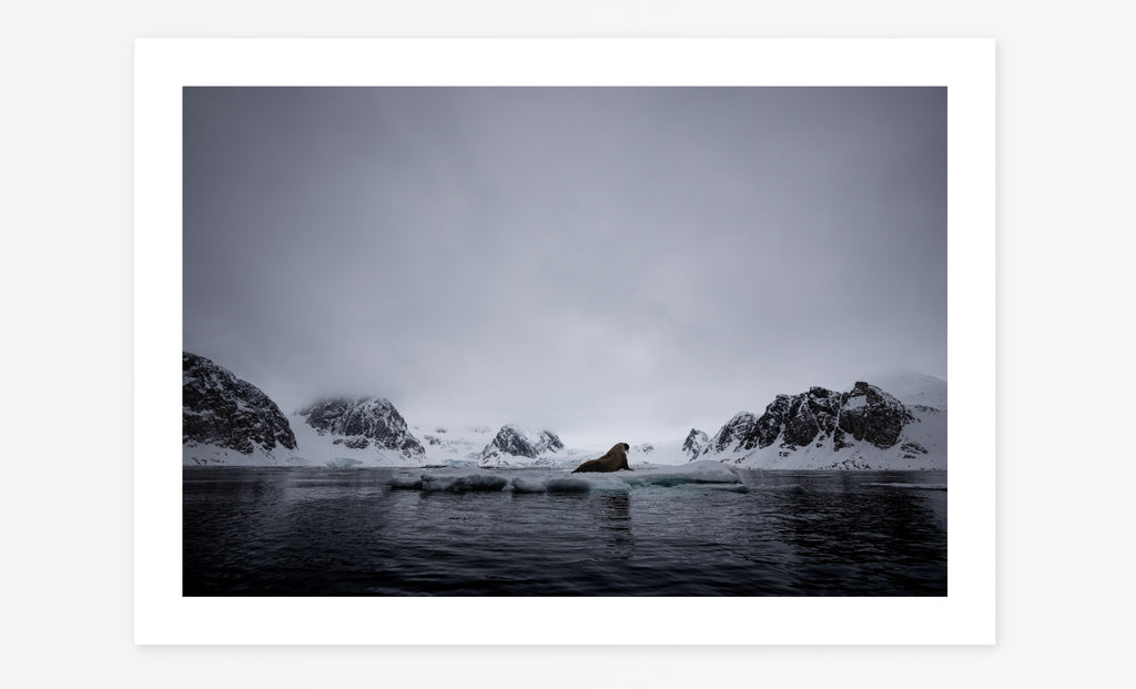 Svalbard