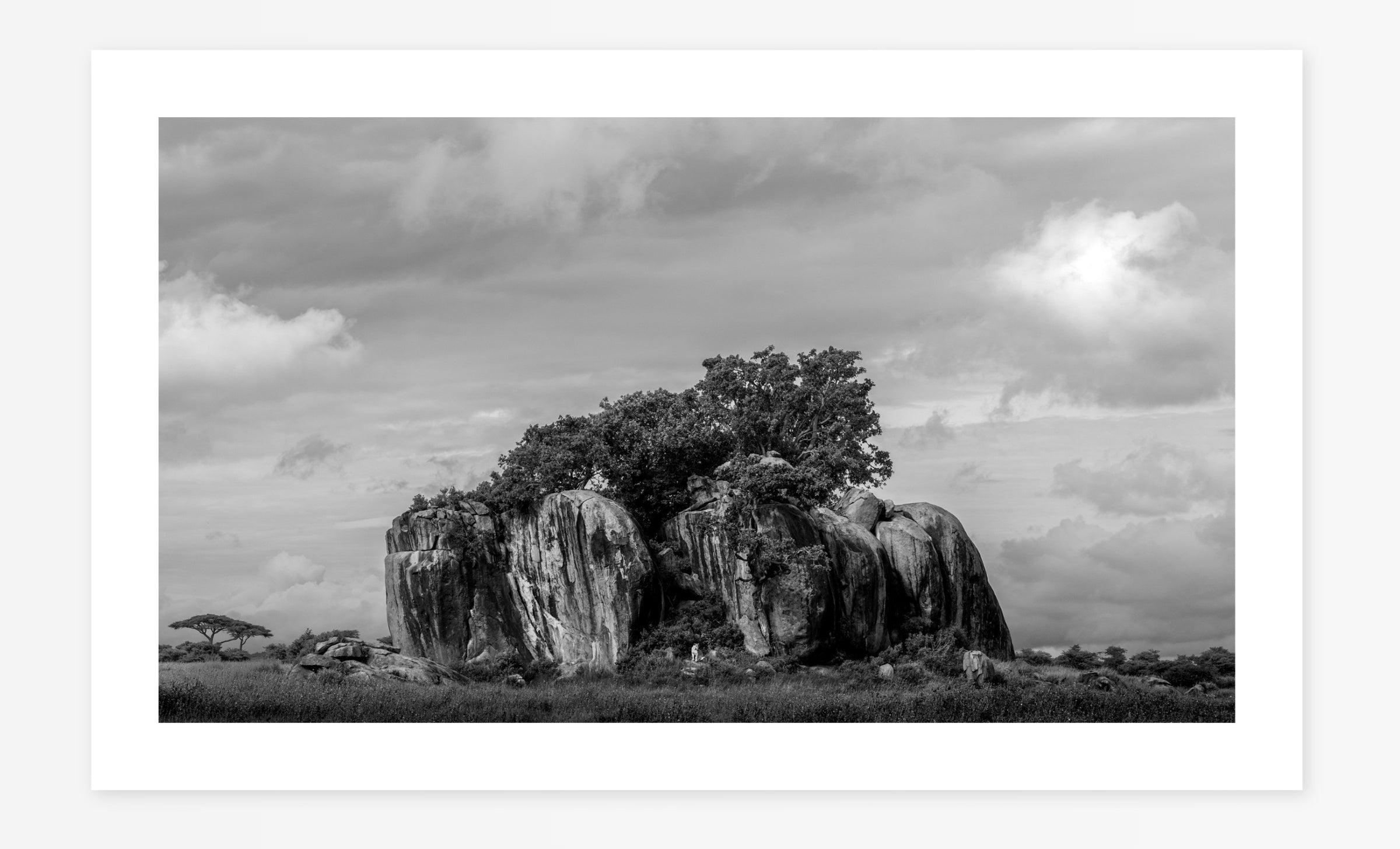 Monolith