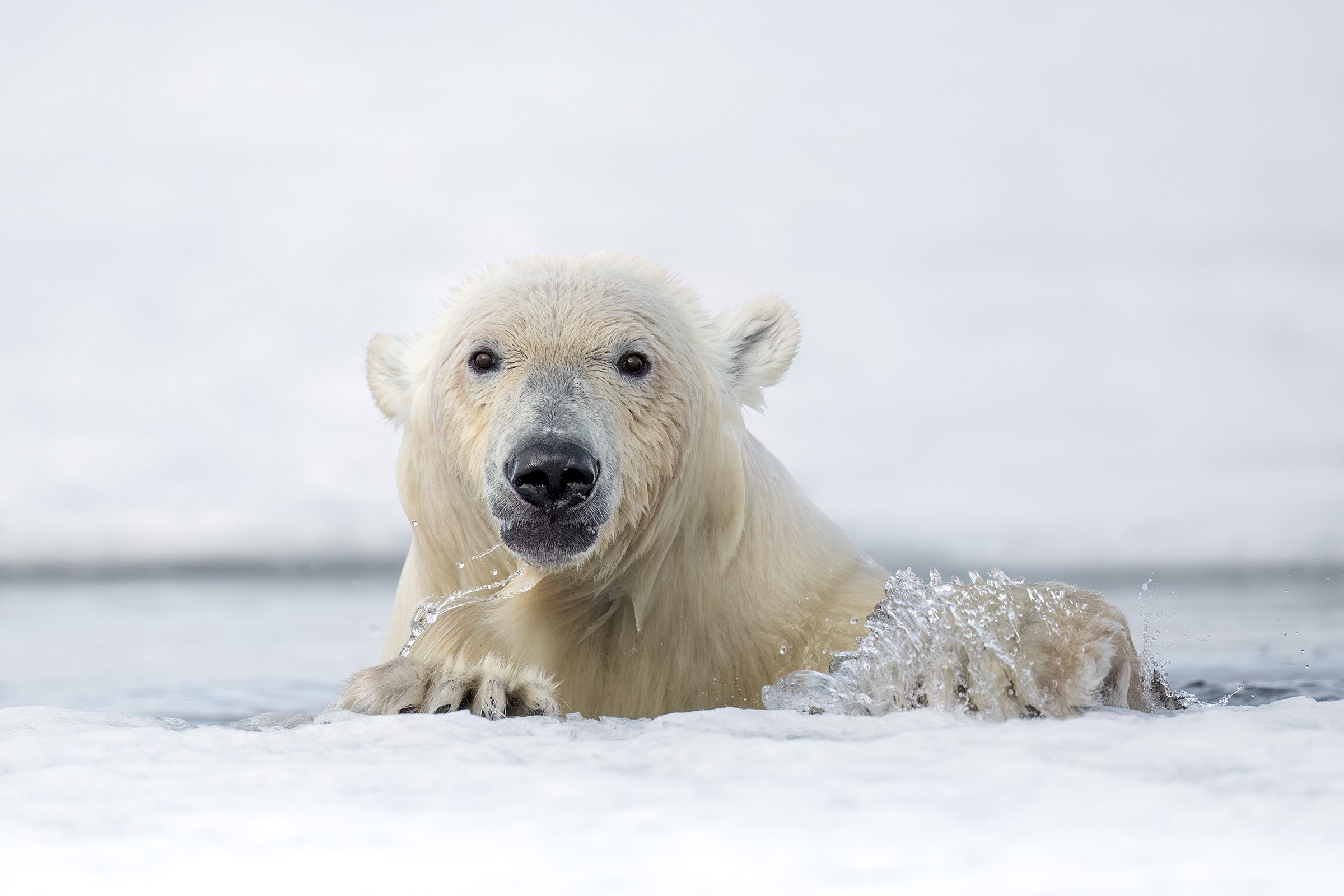 Icebreaker