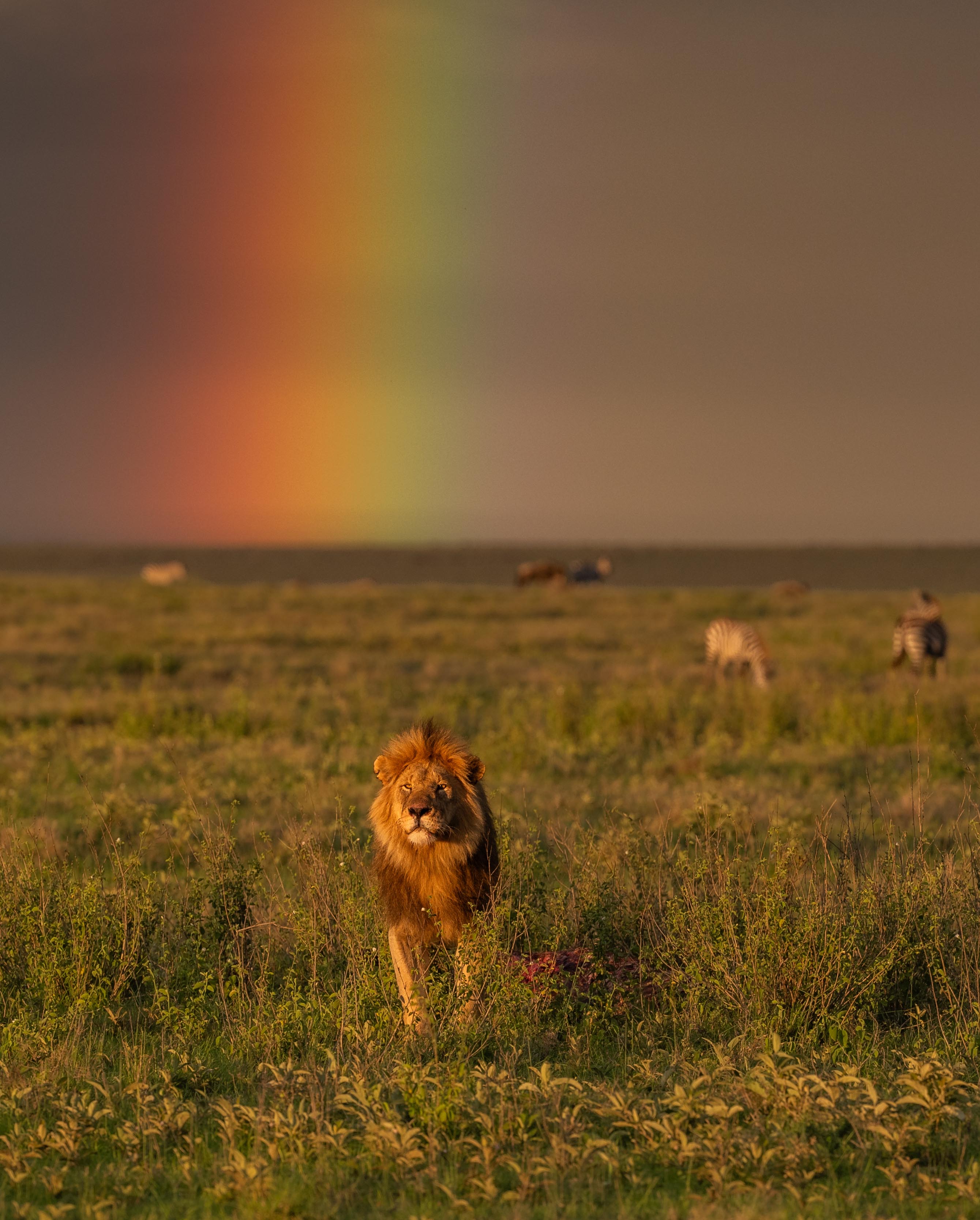 Pot of Gold