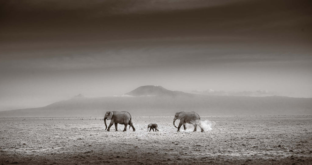 Across The Lake Bed