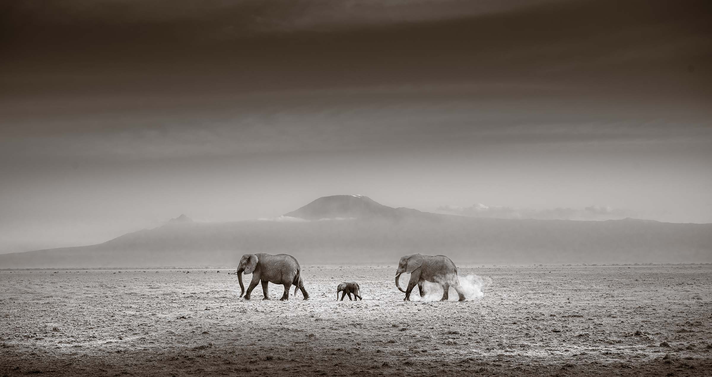 Across The Lake Bed