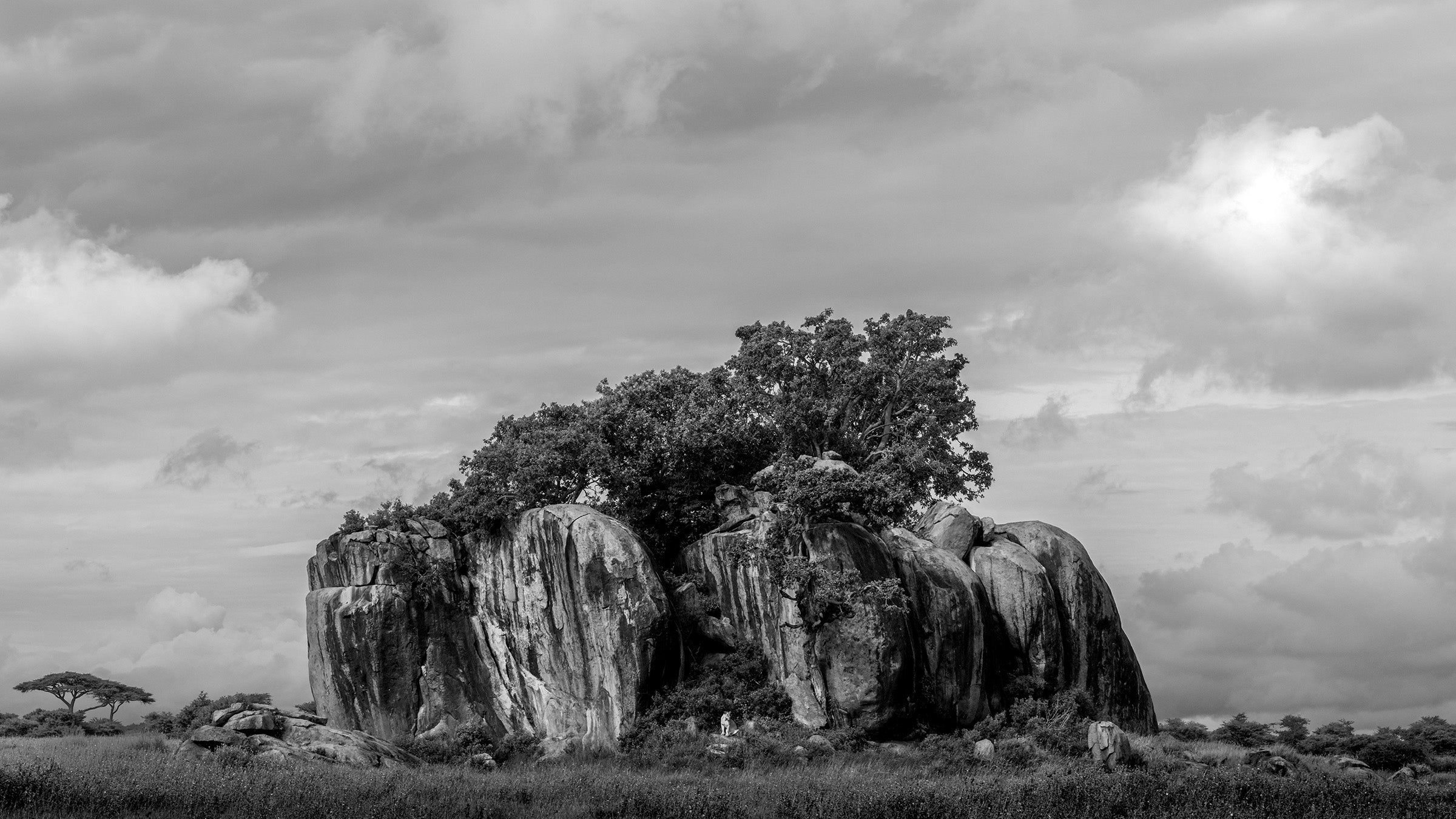 Monolith