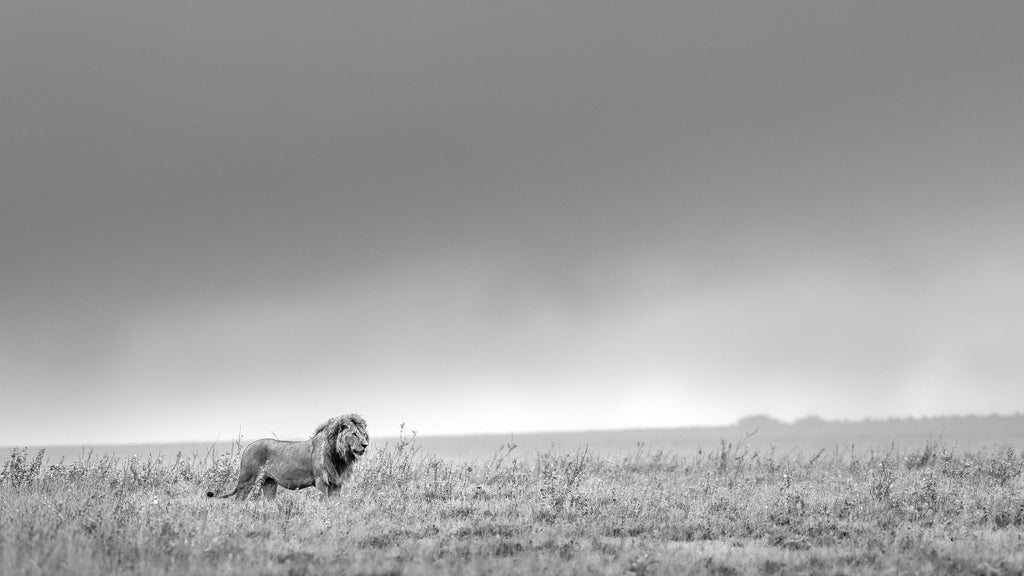On Namiri Plains