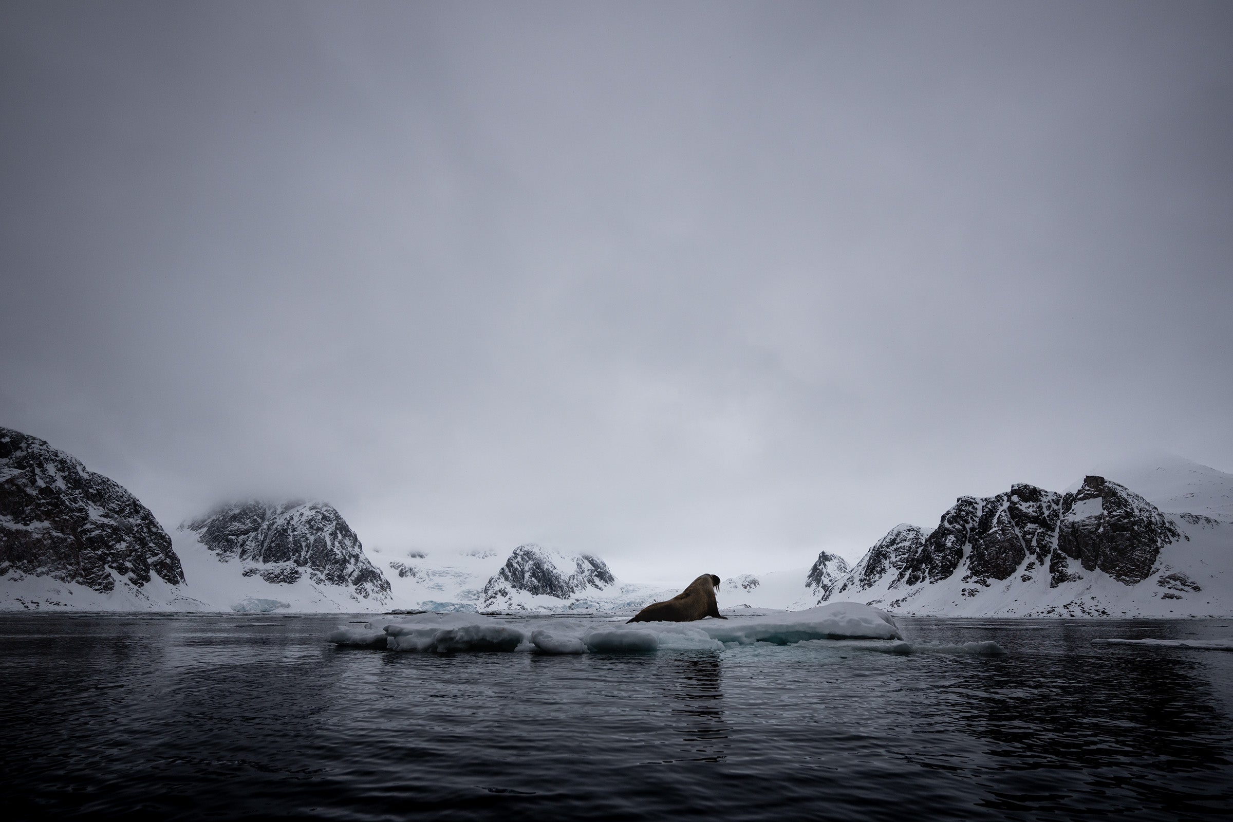 Svalbard