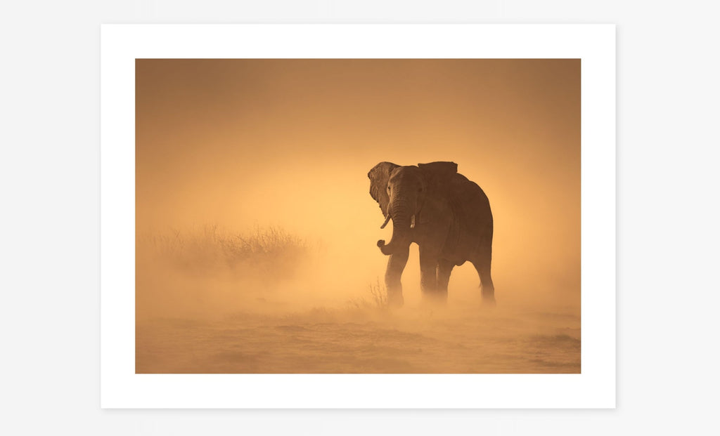 Dust Dancer