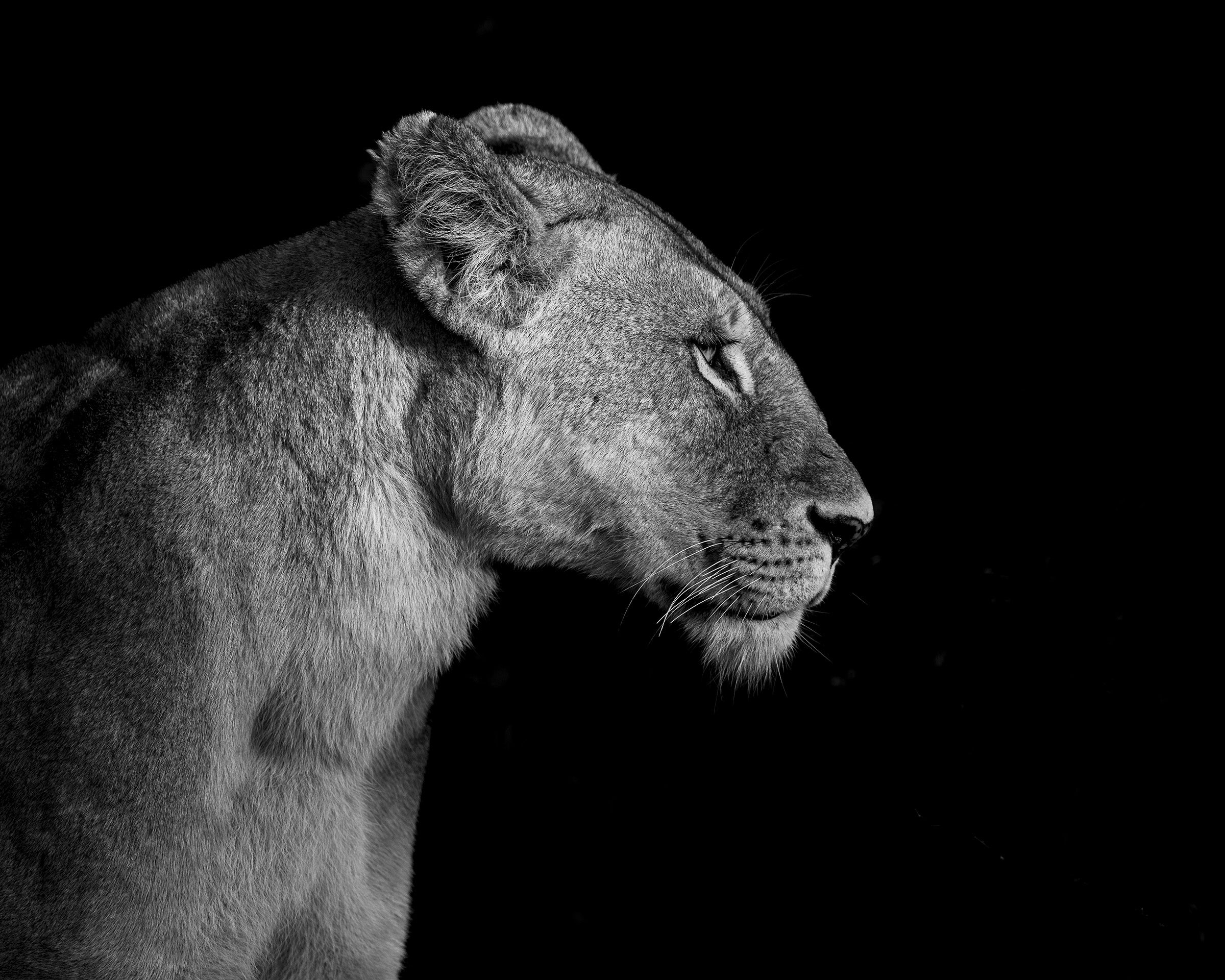 Mara Queen